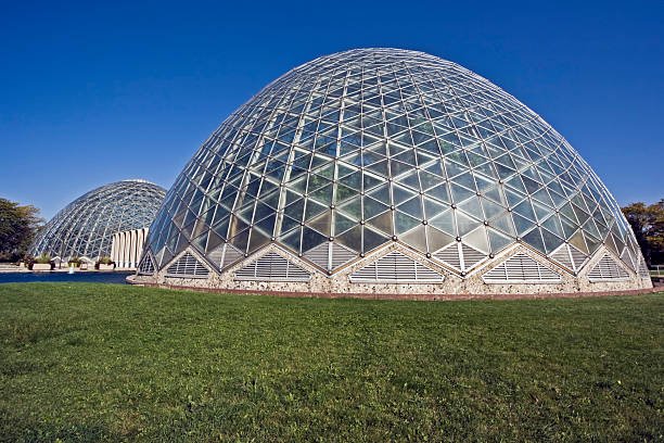 Domezil: Meaning, Uses, and Complete Guide